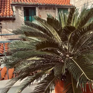 Saint Lucas Split
